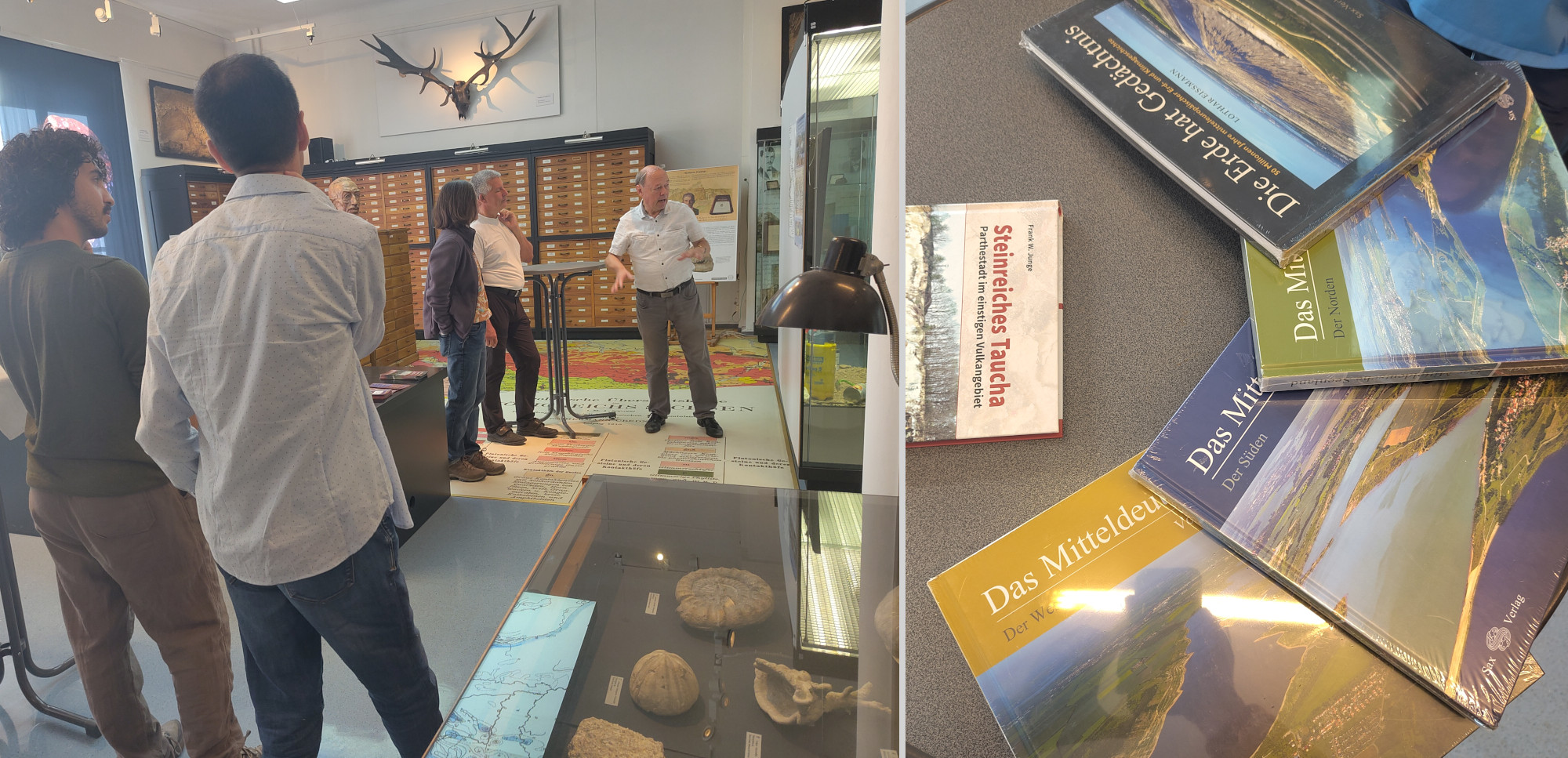 Führung durch die Geologisch-Paläontologische Sammlung der UL