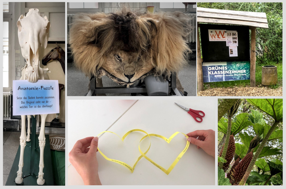 Impressions from the Treasure Hung. Photos: Team WissensSpuren.